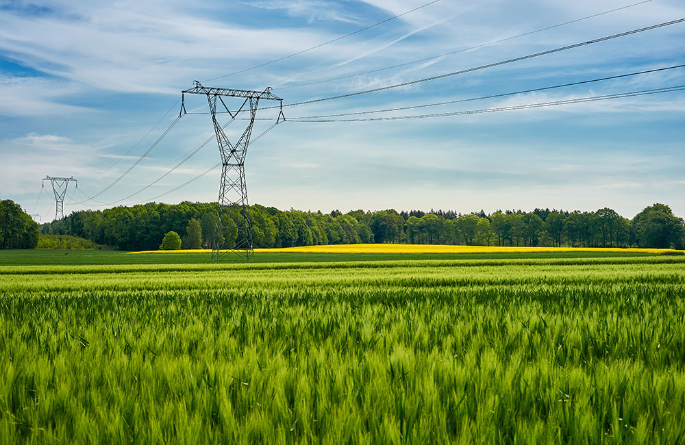 TERNA S.p.A. ha lanciato un green bond da € 600 milioni TERNA S.p.A. ha lanciato un green bond da € 600 milioni